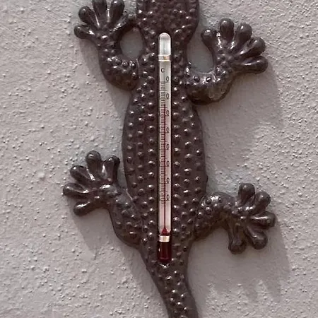 Gran Terraza Апартаменты Коральео