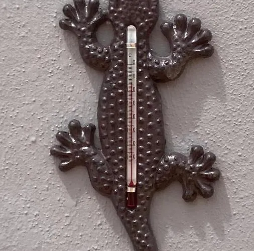 Gran Terraza Appartement Corralejo